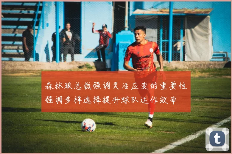 森林狼总裁强调灵活应变的重要性强调多样选择提升球队运作效率